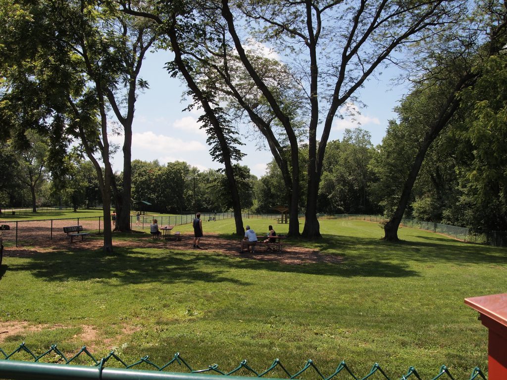 Car-Dog-Park-Grounds