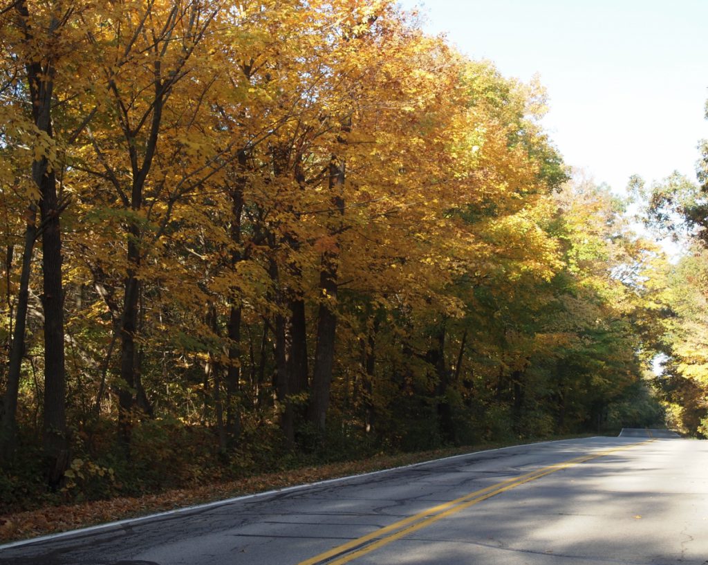 Hwy-JR-by-Pet-Spring-Park