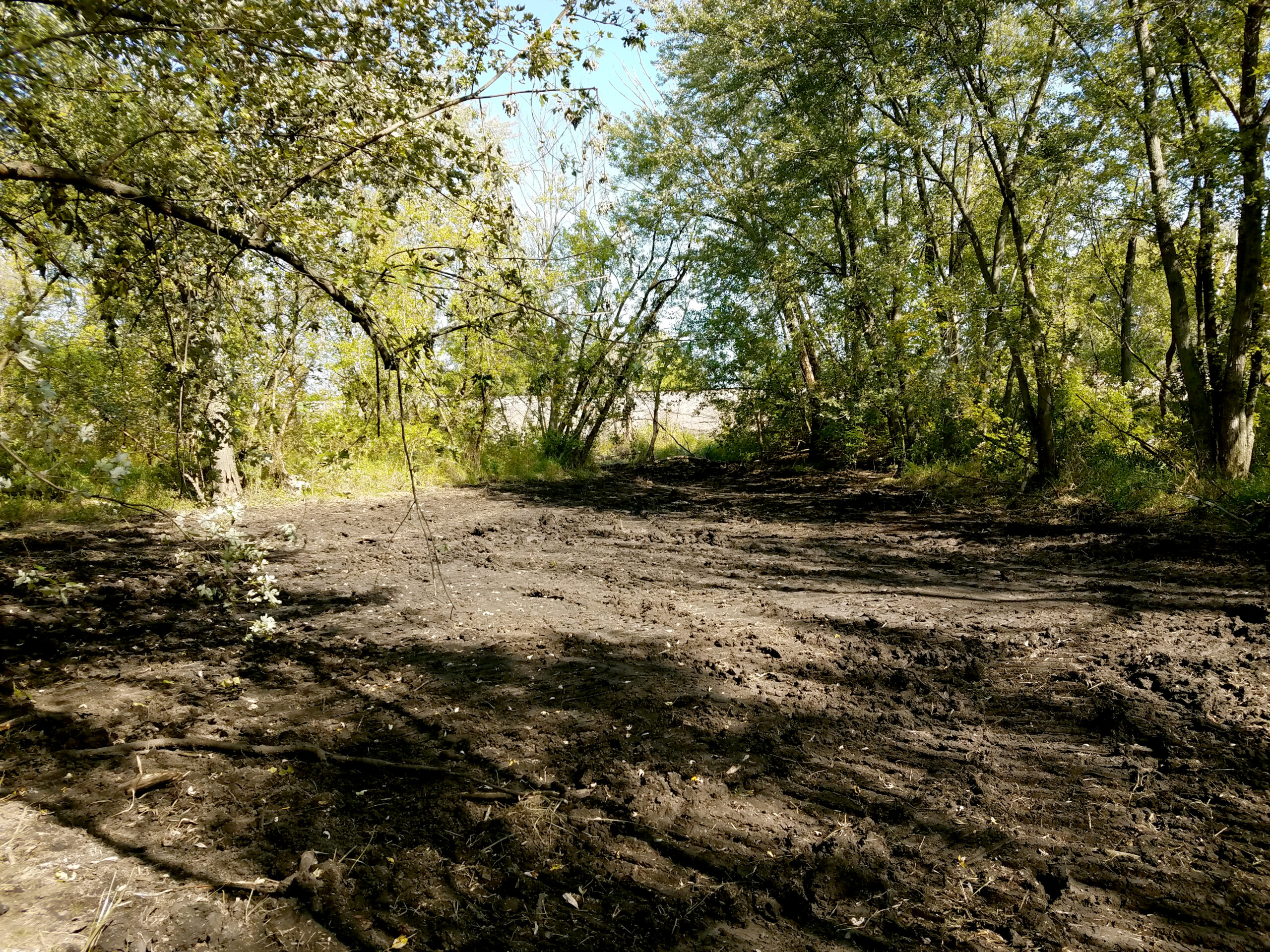 Neumiller Woods Park