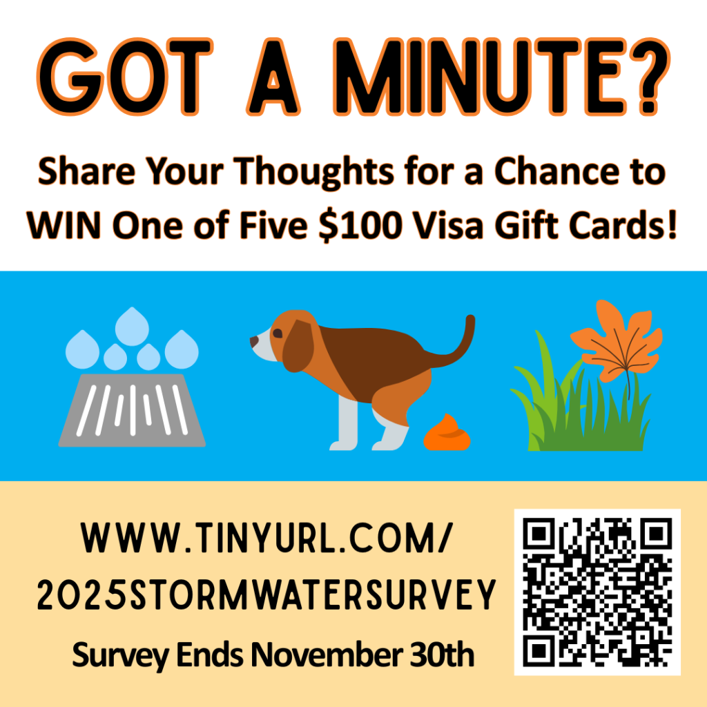 Survey Social Media Newsletter Graphic